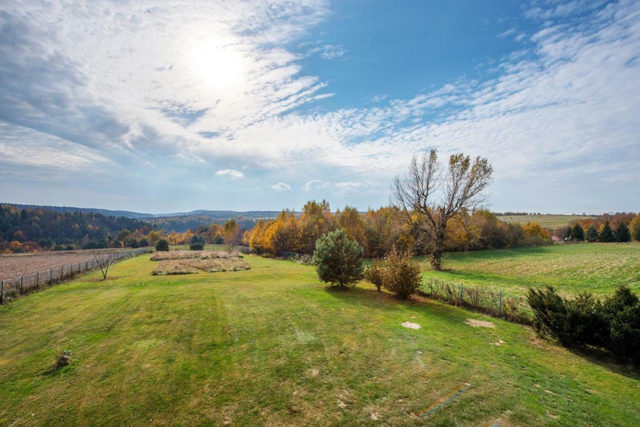 Dom W Grodzisku Villa Skala Bagian luar foto